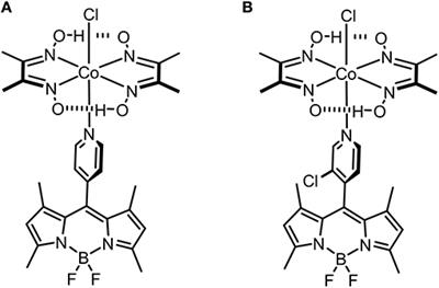 Development of a “Turn-on” Fluorescent Probe-Based Sensing System for Hydrogen Sulfide in Liquid and Gas Phase